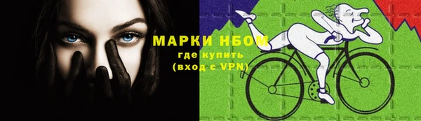 mdpv Богородск
