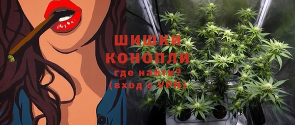 apvp Богданович