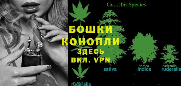 apvp Богданович