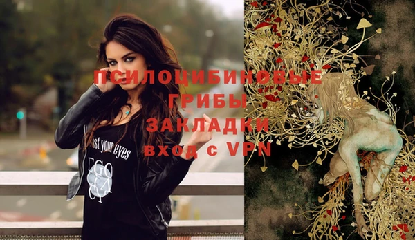 apvp Богданович