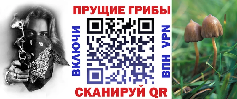 Псилоцибиновые грибы Magic Shrooms  Знаменск 